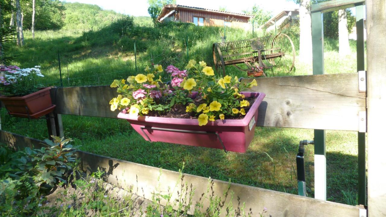 Gite La Lanterne Transition Ecologique Avec Borne De Recharge 7Kw Site Sous Video Protection Nalzen 外观 照片